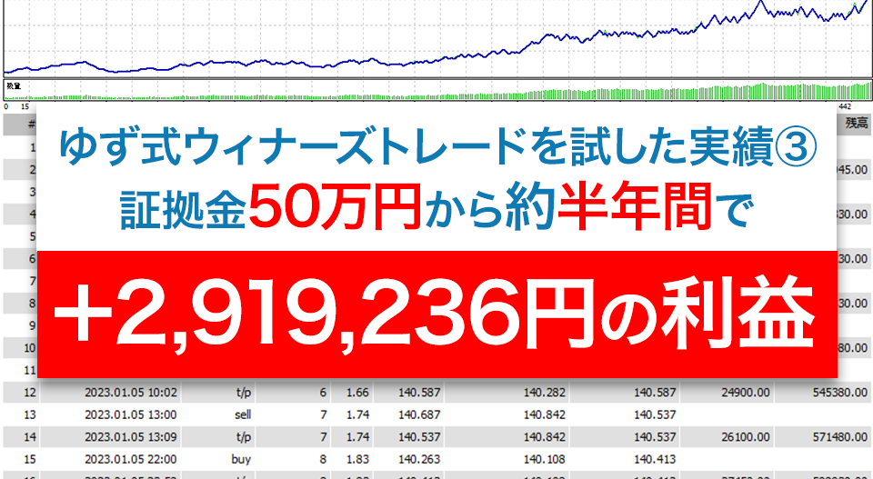 証拠金50万円から約半年間で＋2,919,236円の利益